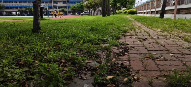 大同國小校園「連鎖磚步道」破損，危及學童安全，立委陳素月承諾積極爭取經費修繕。（照片大同提供）