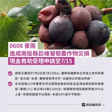 0608豪雨造成本縣巨峰葡萄農作物災損農業部同意辦理現金救助