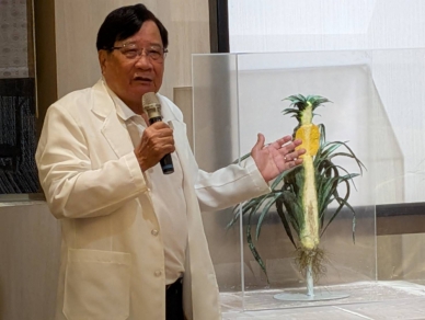 旺萊山「Dr.Liu」品牌  多次獲國際食品類保健食品組金銀大獎  父親節前夕舉辦衛教講座 強調台灣鳳梨台灣寶