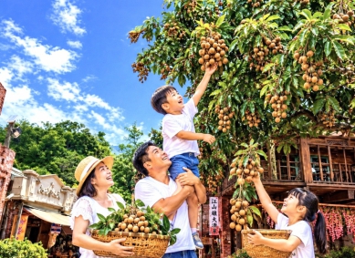 暑假倒數計時！ 台南白河「台灣萬里長城」龍眼盛產免費採摘 穿古裝、賞山景 掀起暑期最後瘋遊熱潮！