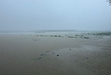 八月下旬豪雨致災農業現金救助及低利貸款申請延長至九月十八日