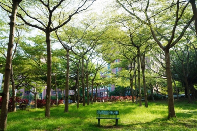 2026世界綠色大學排名，大葉40名。（照片大葉提供）