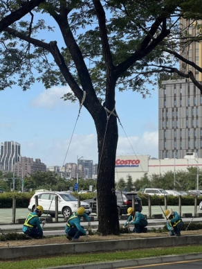 高雄陽光露臉風力加劇氣象站發強風特報