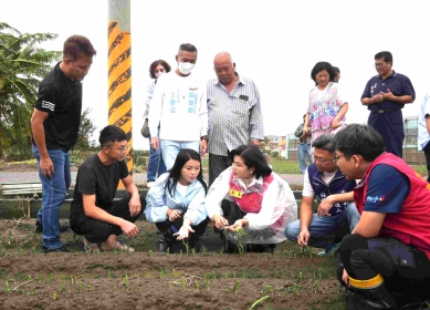 薔琵颱風強風重創雲林農作 縣長張麗善、立委張嘉郡：爭取「全品項」現金救助！
