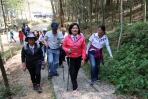 雲林縣積極打造古坑草嶺石壁「森林療育基地」 推動健康旅遊新選擇