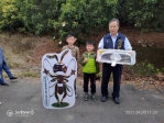 維護農民收益與生態平衡！中市宣導「平腹小蜂」防治荔枝椿象
