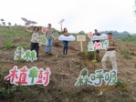 百冠生化科技檜山坊  捐款種下700株台灣原生樹種-香杉   守護地球