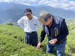 關心梨山農作物  中市農業局長蔡精強現地勘查