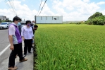 關懷農業產業，縣長王惠美到芬園鄉訪視灌溉用水。（照片縣府提供）