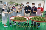大葉﹁製茶研發基地﹂開設﹁丙級製茶技術士術科輔導班﹂。（照片大葉提供）