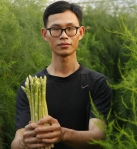 財經系碩士的大安區黃睿祥因孝返鄉務農  種植的蘆筍品質一流