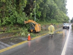 山區持續下雨  台8線路樹倒  東勢警協助排除疏導交通