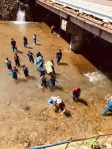 暨大學生與埔里河川保育團體經辦精英營，清理大排培養公眾議題
