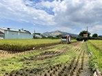 中市1期作稻草剪段翻耕補助  即日起至7月31日開放申請