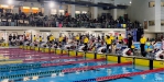 全國小學游泳錦標賽台中登場  近1200位小泳士大顯身手