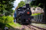 《囍慶》 21號蒸汽火車修復啟用與阿里山林鐵同賀110歲生日   阿里山林業鐵路110歲了!