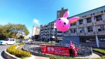 台中豐原水岸花都公園迎兔年　5公尺高粉紅悠兔氣球升空