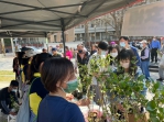 減碳做愛心  中市議員施志昌舉辦四場贈樹苗活動