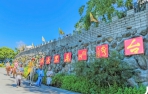 台南各地花旗木盛開 邀請遊客前來觀賞 順遊白河萬里長城 遊客拍照打卡熱點！