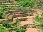 涉縣旱作石堰梯20日入選為全球重要農業文化遺產名錄