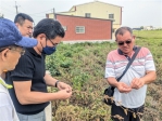 受近期大雨、強風影響 雲林土庫契作大豆倒伏嚴重 立委劉建國會同農糧署官員會勘 促速啟動天災補助！