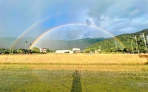 五道彩虹〜花蓮玉里及時雨 現吉兆奇景 農民忙插秧 直呼一定會豐收！