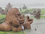 海底世界｜大金剛開始學游泳了，名副其實，富里鄉農會稻草藝術園區，汪洋一片！