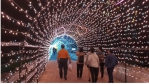 2023台東知本溫泉季延長亮燈至113/2/25｜9米繽紛耶誕樹與加碼音樂會， 「泡湯+過耶誕+歡慶跨年」讓你一次滿足！