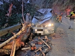 1死1傷｜粗大樹幹騰空飛落，中橫公路西寶邊坡滾落砸中路過車輛！