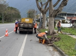 空降危機｜新城鄉代林國賢感謝公路局排除