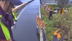 忠犬護主｜臺版忠犬小8 ，小狗異常排徊草叢，鳳警協助路倒民眾送醫！