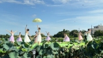 「2024白河蓮花季」廣受好評 民眾把握花期來白河賞蓮花吃蓮子