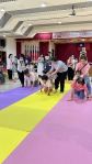 湖西鄉公所舉辦「來趣湖西 寶寶爬行趣味賽」  推廣嬰幼兒閱讀