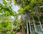走進森林與夜遊塔塔加追星光 阿里山賓館限定住房優惠呵護媽咪