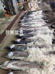 芭蕉旗魚｜東海岸盛產於5至9月，魚肉厚實、油脂適中，現在是最好吃的時候！