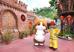 台南白河台灣萬里長城 常有知名電視劇前往拍片 吸引眾多旅客及戲迷前往劇中場景拍照打卡暢遊 成為熱門旅遊景點〜