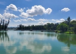 高市府7月1日起代管澄清湖風景區改免費入園