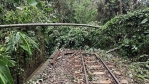 阿里山林鐵北門車站至十字路車站間倒樹清除中  嘉義-阿里山線預計7/15恢復營運  祝山、沼平、神木3條支線7/9恢復營運