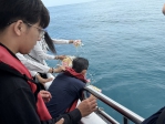 讓思念遠航｜花蓮縣114年聯合海葬啟航