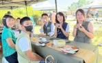 嘉義縣番路茶香縈繞山嵐間 樂音與健走共譜秋日風景~