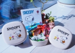 台中市元旦限量紀念品「SNOOPY史努比單層置物盒」迎新年