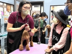 毛孩變身最佳導師〜雲林虎尾就業中心安排毛家長化身一日美容師 在歡樂與學習中踏出職涯探索嶄新一步！