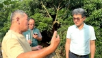 雲林縣全品項荔枝納入天然災害現金救助 5/16起全面受理申請 立委劉建國籲請受災果農速向各鄉鎮市公所申辦！