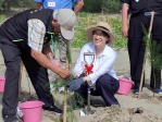 副總統蕭美琴視察好美海岸保安林　沙灘流失保安林縮減　居民自救開啟復育契機  見證公私協力十年護林成果