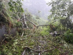 阿里山林鐵落石完成清理與路線巡檢  6月11日全線恢復營運