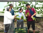 強降雨重創雲林葉菜產區 縣長張麗善等人勘災要求加速查報協助農民復耕！