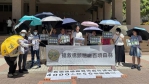 高雄護樹團體搶救橋糖10萬天然樹傘