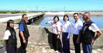雲122-1線海新橋動土開工 維護台西、四湖鄉親通行安全！
