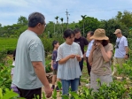 「豐味苗栗」串起國際茶路 「貓裏紅」接軌世界