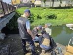 高雄楠梓區後勁溪有死魚漂浮業者違規排放依法告發